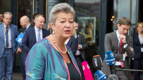 ‘Not logical’ to give protection to Ukrainian males – EU special envoy