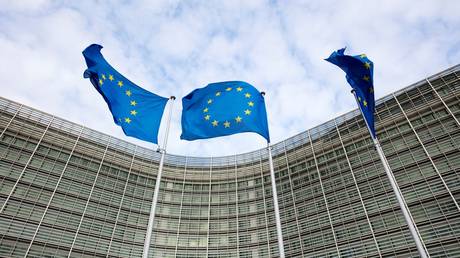 EU considering revoking veto powers for new members – Guardian