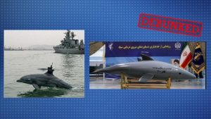 These images do not prove that Iran has unveiled kamikaze dolphin drones