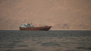 How ships are risking ‘safe’ passage through the Strait of Hormuz