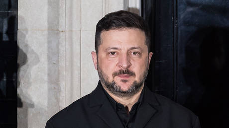 Another EU nation seeks to strip Zelensky of top state honor over Nazi tribute