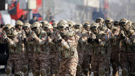 Iran called off Ukraine strikes after Kiev’s ‘apology’ – Khamenei adviser